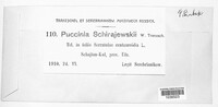 Puccinia schirajewskii image